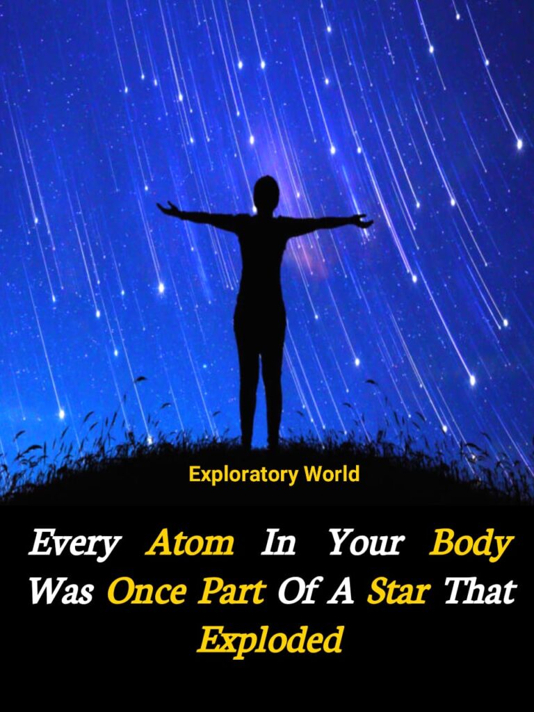 You Are Made of Stardust